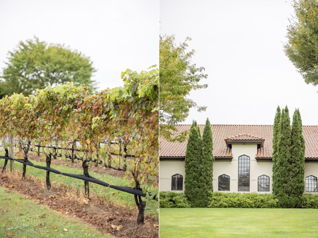 Raphael Vineyard and Winery Wedding